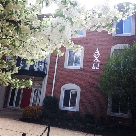 alpha chi omega ohio state university|alpha chi omega ohio.